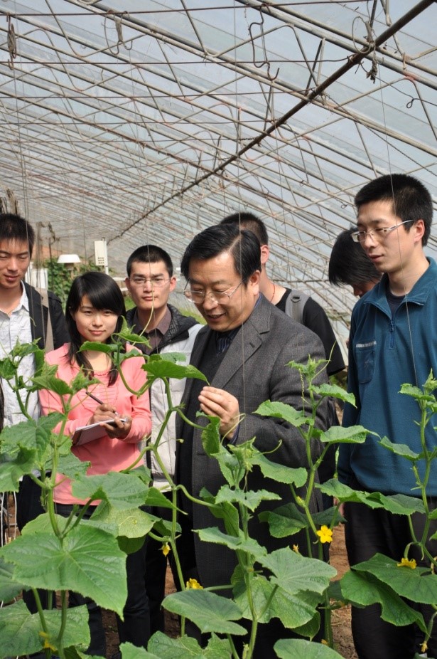 人妻无码