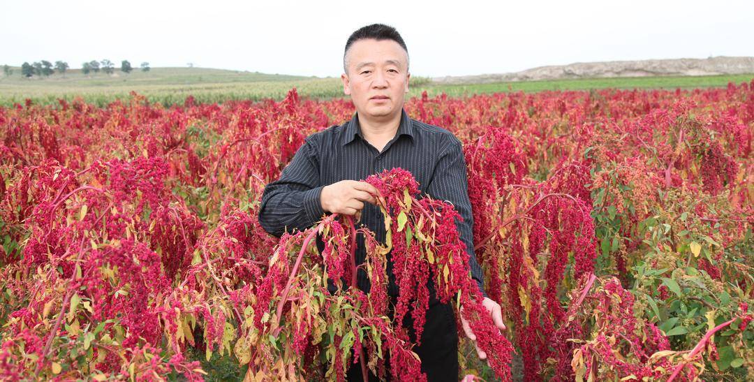 人妻无码