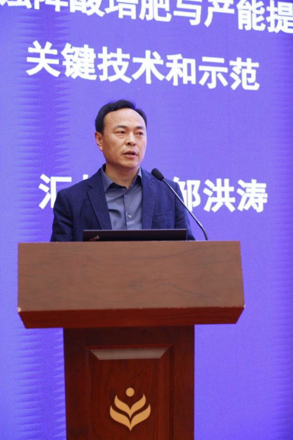 人妻无码