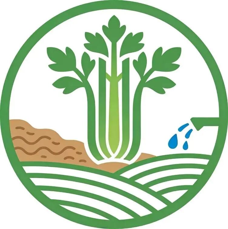 EC62