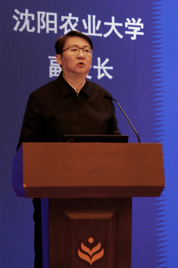 人妻无码