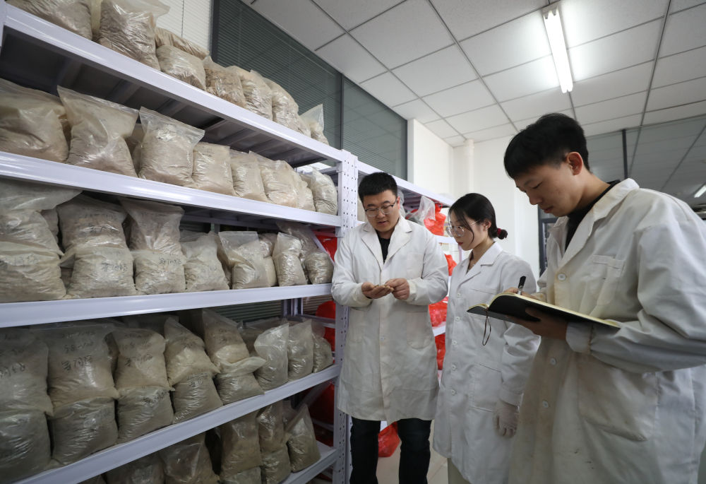 新华全媒＋丨探访人妻无码
土肥高效利用国家工程研究中心